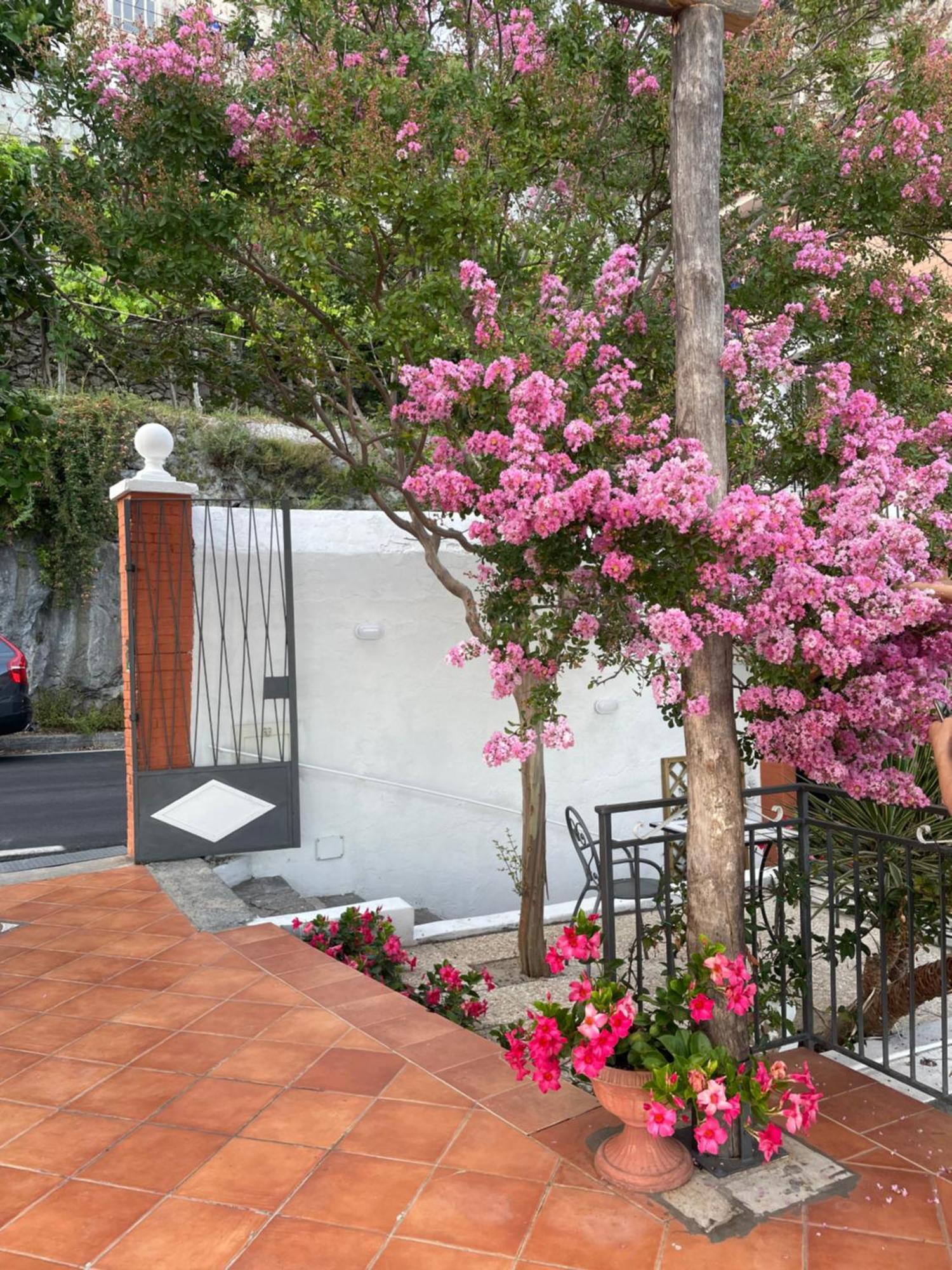 Villa Pino Furore Exterior foto