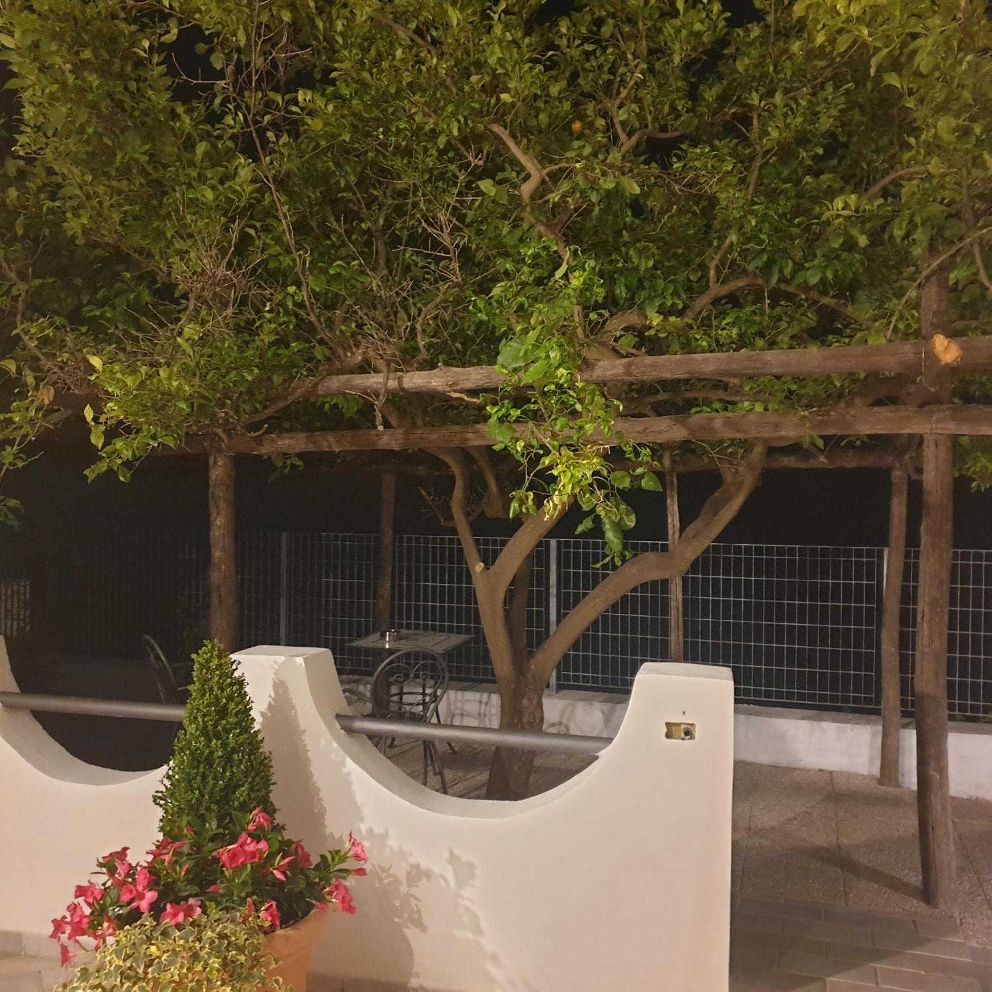 Villa Pino Furore Exterior foto